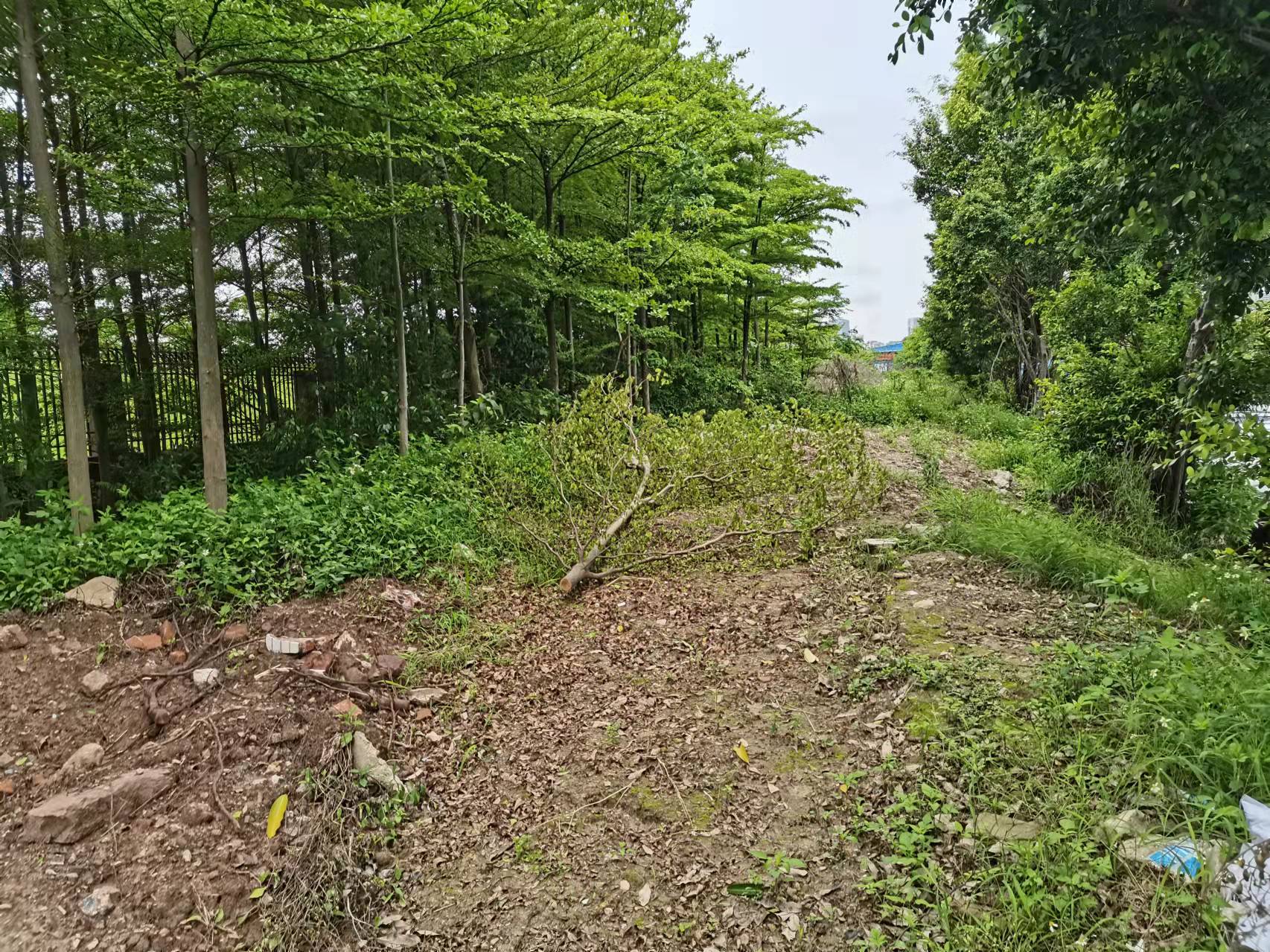 佛山市康盈投资管理有限公司地块出租评估